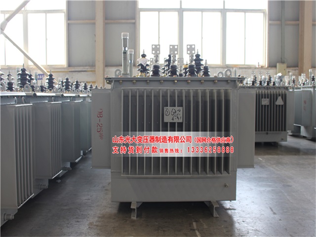 邢台S22-4000KVA油浸式变压器